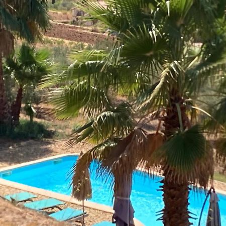 La Venturonne Appartement Neuf Rez De Jardin 45 M2 Vue Mer Et Vignes 10 Mn Des Plages Ле-Боссе Экстерьер фото